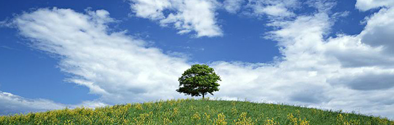 �V��������ցE�E�E